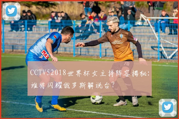 CCTV52018世界杯女主持阵容揭秘：谁将闪耀俄罗斯解说台？