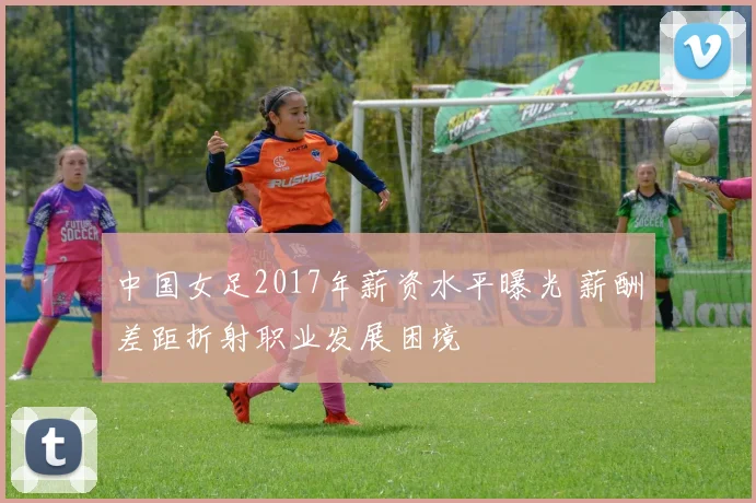 中国女足2017年薪资水平曝光 薪酬差距折射职业发展困境