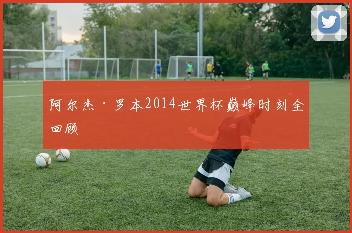 阿尔杰·罗本2014世界杯巅峰时刻全回顾