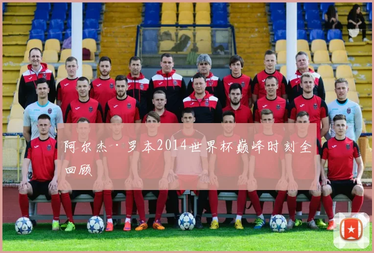 阿尔杰·罗本2014世界杯巅峰时刻全回顾