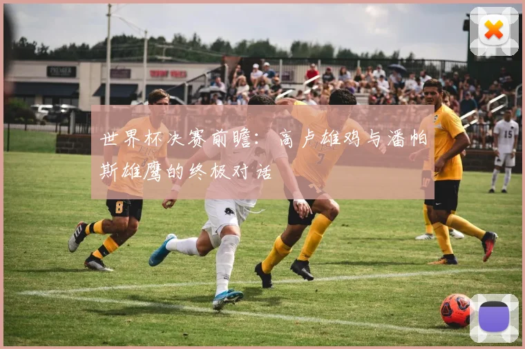 世界杯决赛前瞻：高卢雄鸡与潘帕斯雄鹰的终极对话