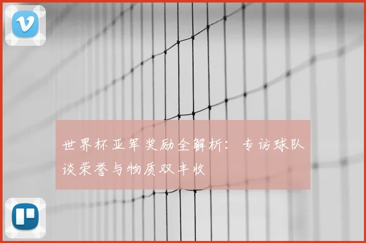 世界杯亚军奖励全解析:专访球队谈荣誉与物质双丰收