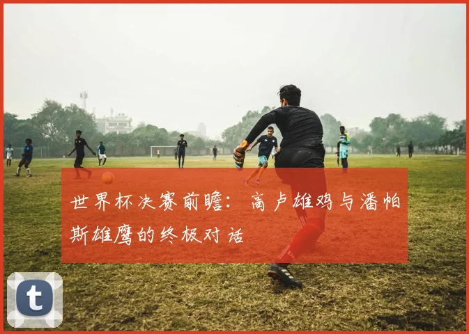 世界杯决赛前瞻：高卢雄鸡与潘帕斯雄鹰的终极对话