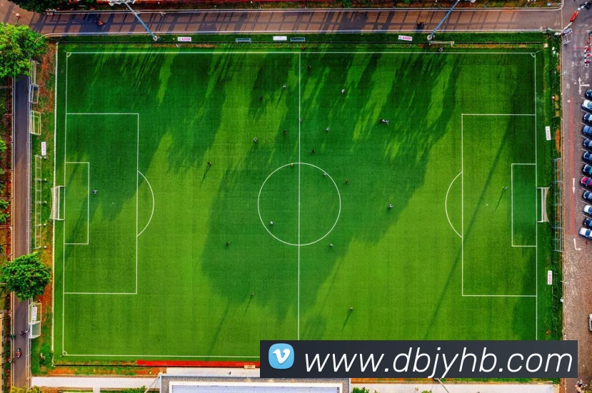 开云kaiyun网页版平台生态图