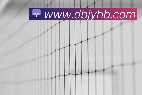 开云kaiyun网页版全站App 开云kaiyun网页版全站App